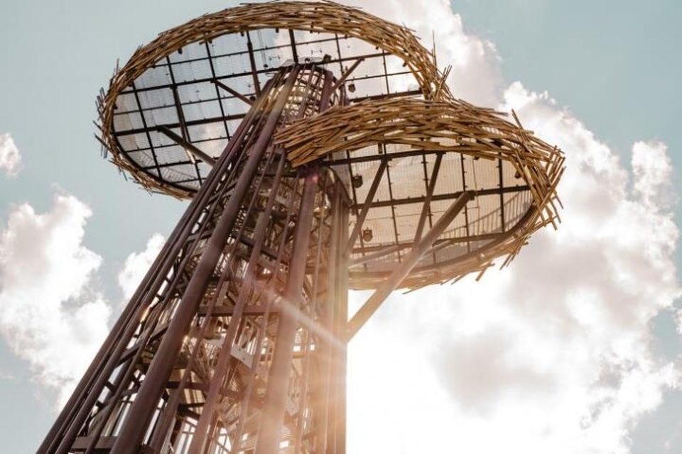 Pesapuu Observation Tower — Rõuge