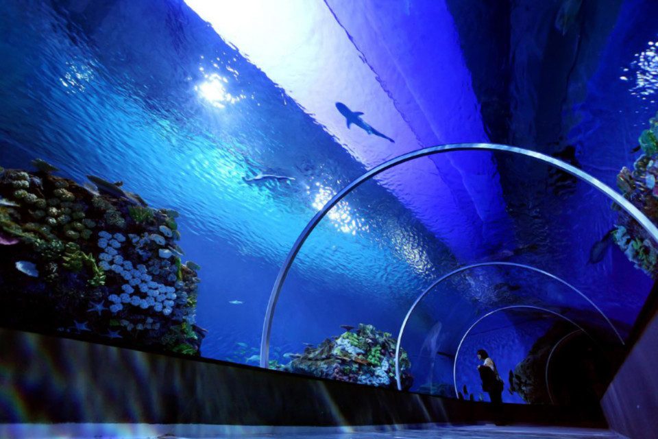 Blue Planet Aquarium – Copenhagen